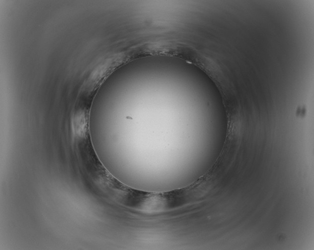 X0000112050335200908041157