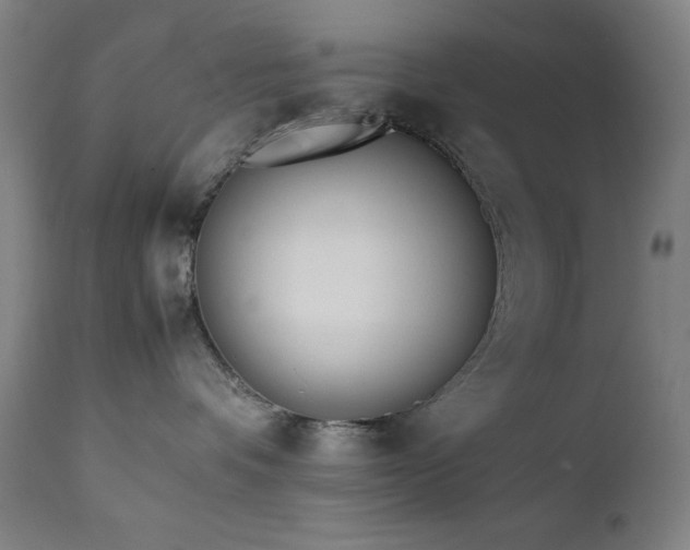 X0000112050336200908041157