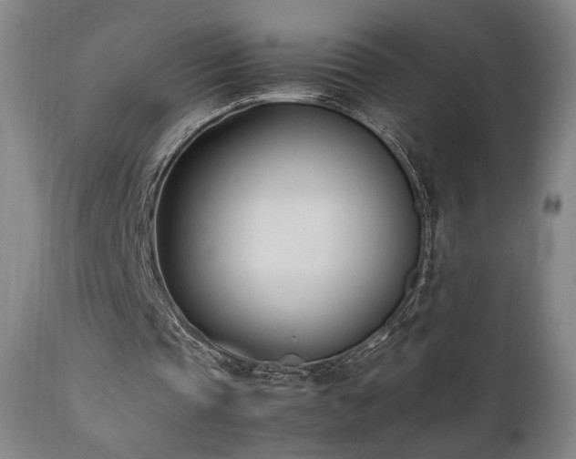 X0000112050337200908041156