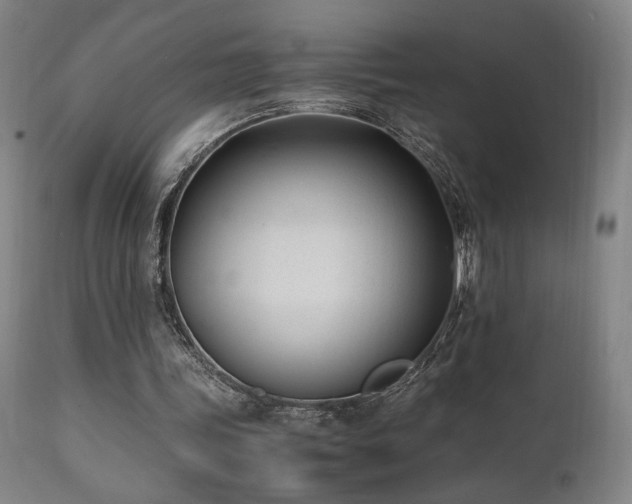 X0000112050339200908041156