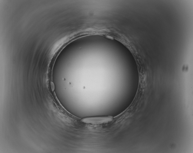 X0000112050340200908041156