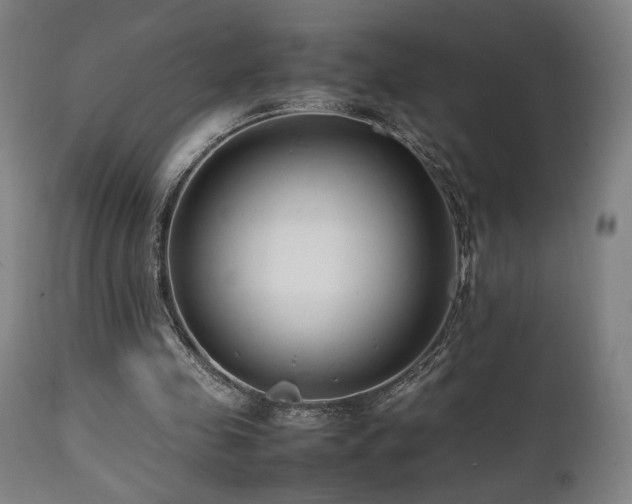 X0000112050341200908041156