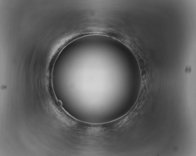 X0000112050342200908041156