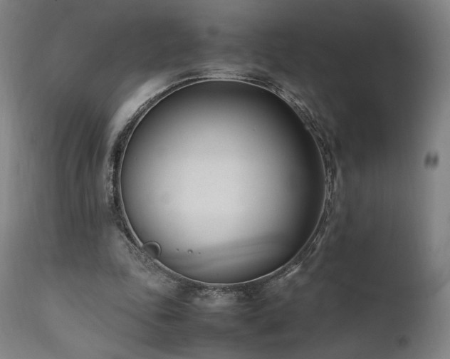 X0000112050343200908041156