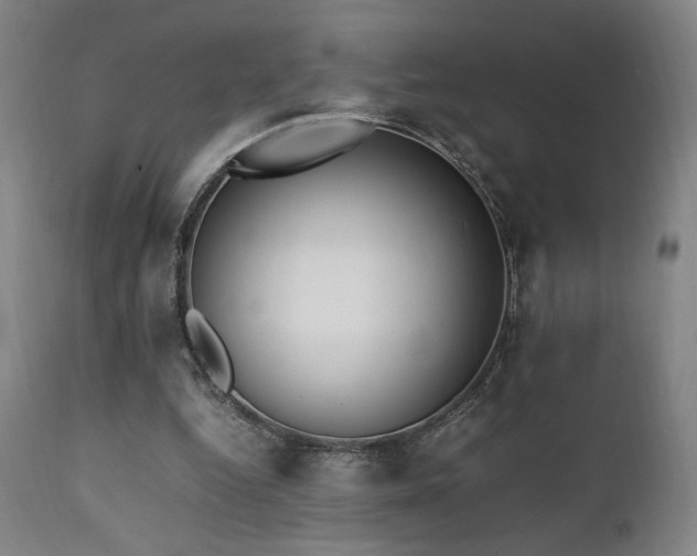 X0000112050344200908041156