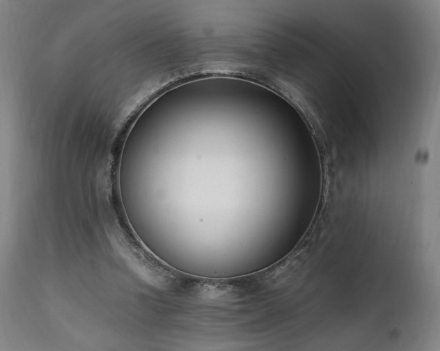 X0000112050346200908041156