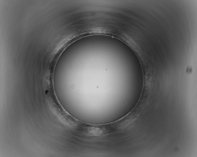 X0000112050347200908041156