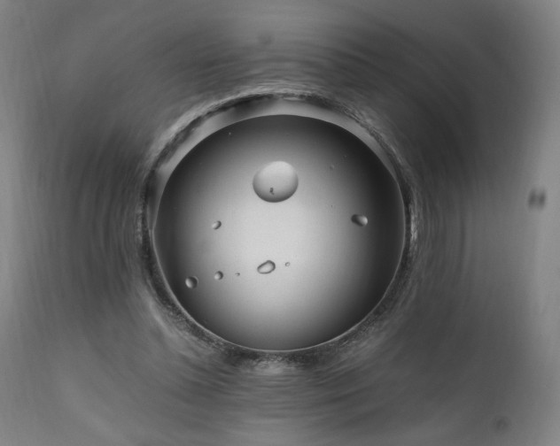 X0000112050348200908041156