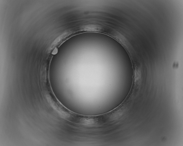 X0000112050349200908041156