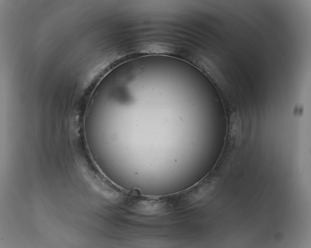 X0000112050351200908041156