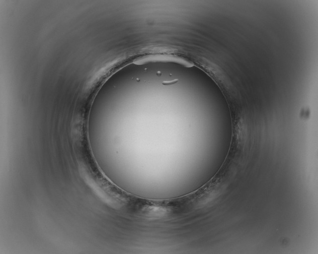 X0000112050352200908041156