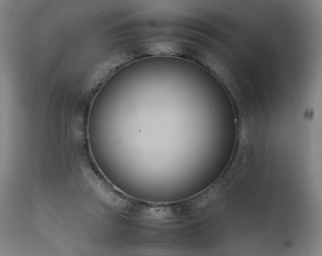 X0000112050353200908041156