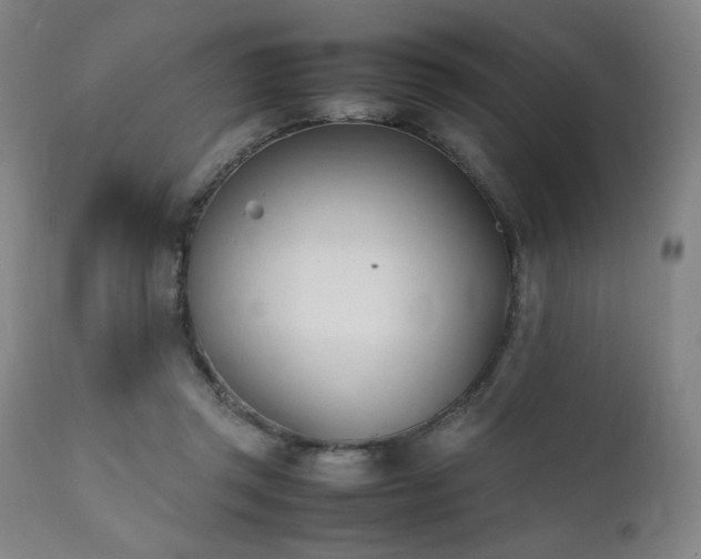 X0000112050357200908041156