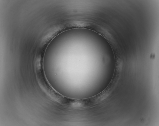 X0000112050358200908041156