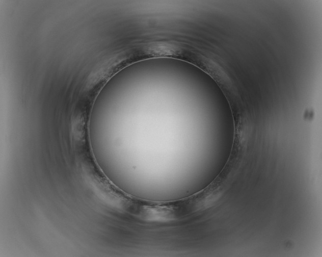 X0000112050359200908041156