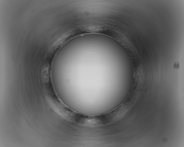 X0000112050360200908041156