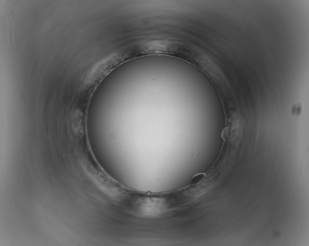 X0000112050361200908041156