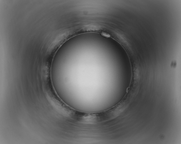 X0000112050362200908041156