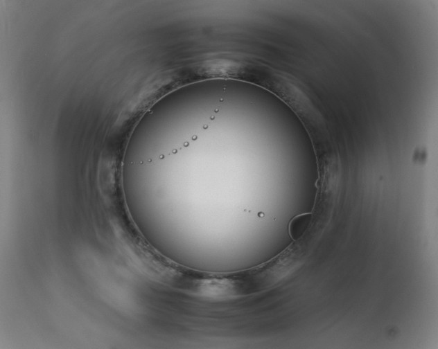 X0000112050363200908041156