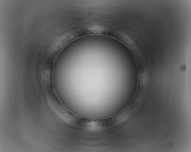 X0000112050365200908041156