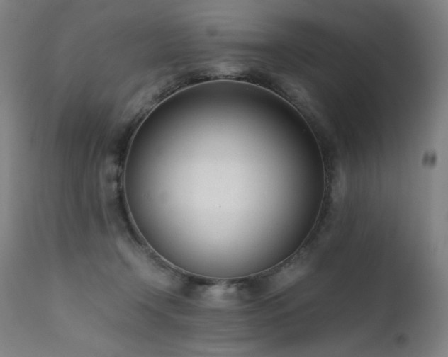 X0000112050366200908041156