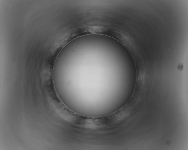 X0000112050367200908041156