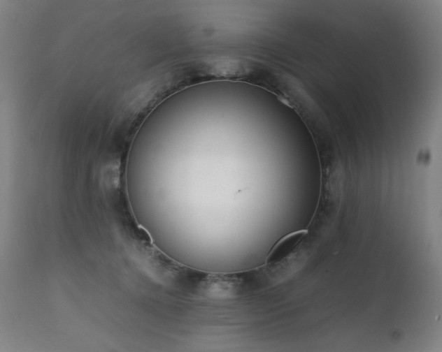 X0000112050368200908041156