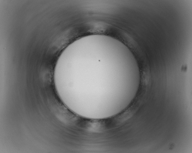 X0000112050370200908041156