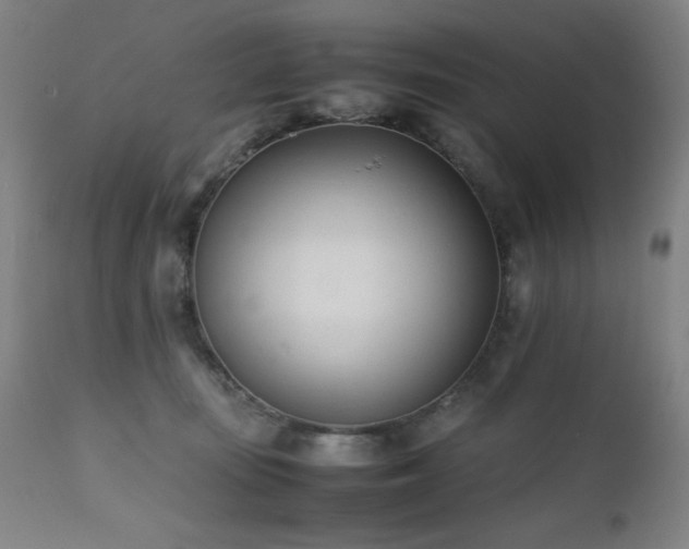 X0000112050371200908041156