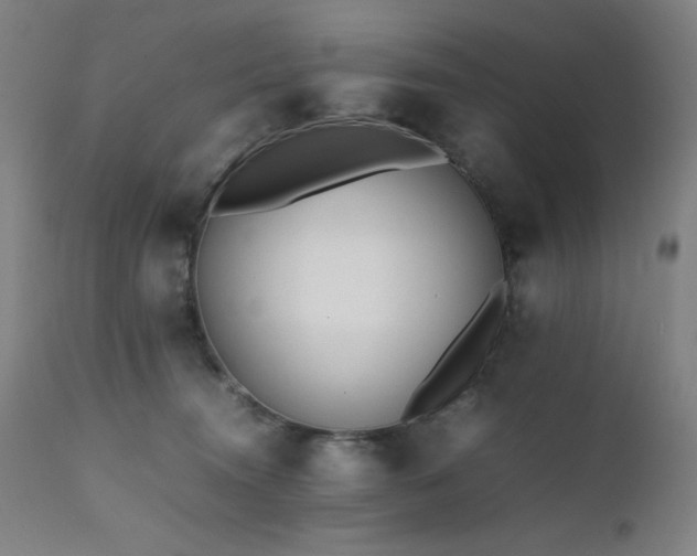 X0000112050372200908041156