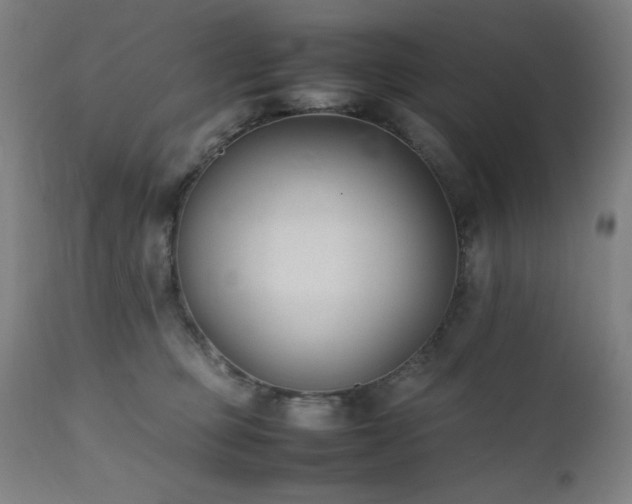 X0000112050373200908041156