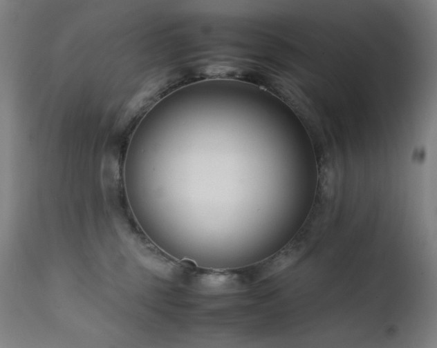 X0000112050375200908041156