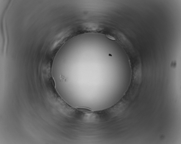 X0000112050376200908041157