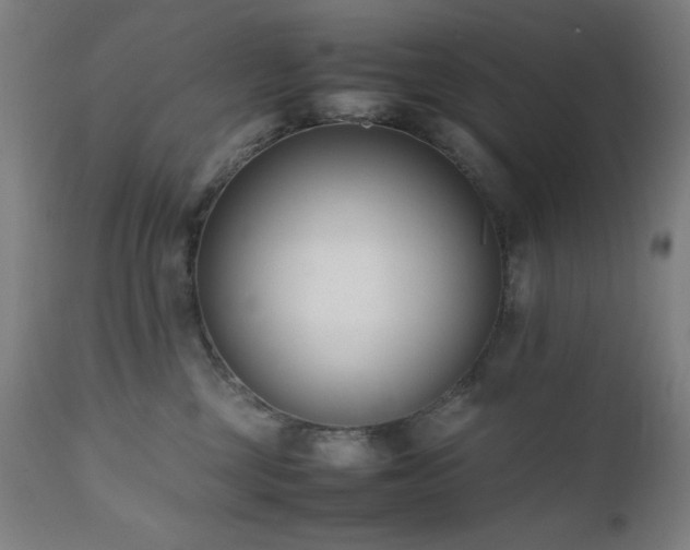 X0000112050377200908041157