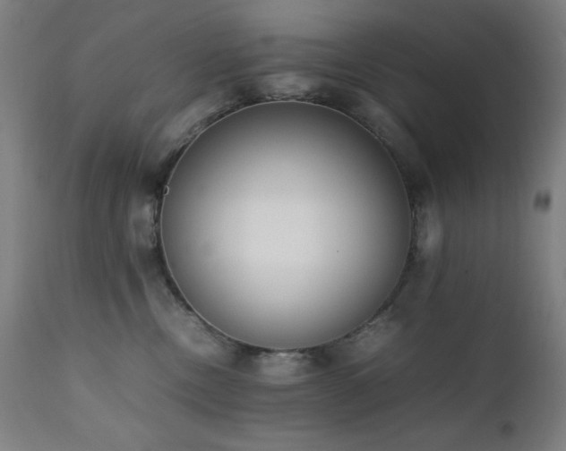 X0000112050378200908041157