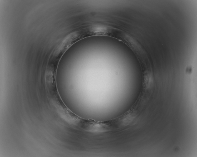 X0000112050379200908041157