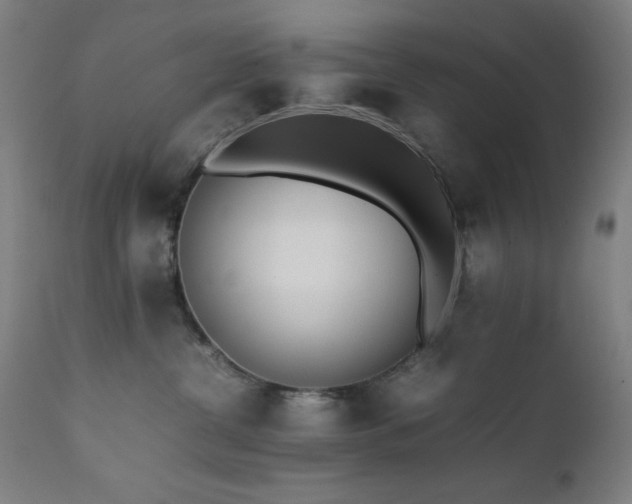 X0000112050380200908041157