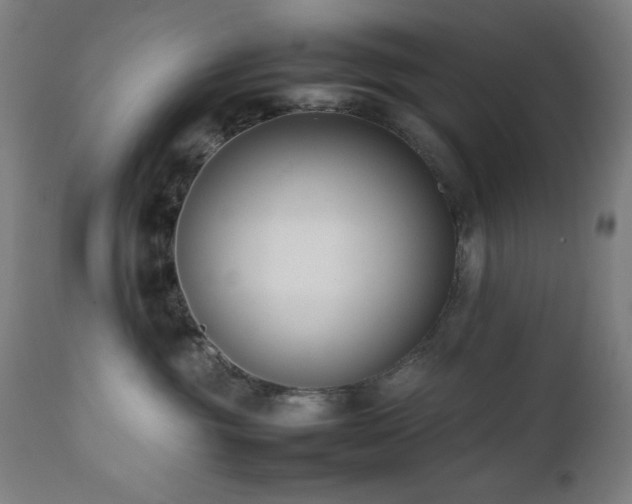 X0000112050381200908041157