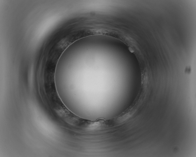 X0000112050382200908041157