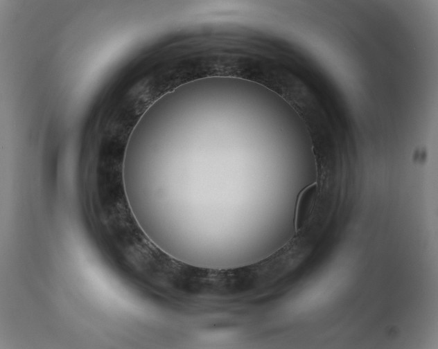 X0000112050383200908041157