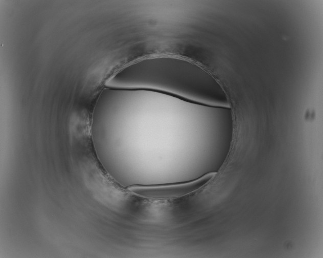 X0000112050384200908041157