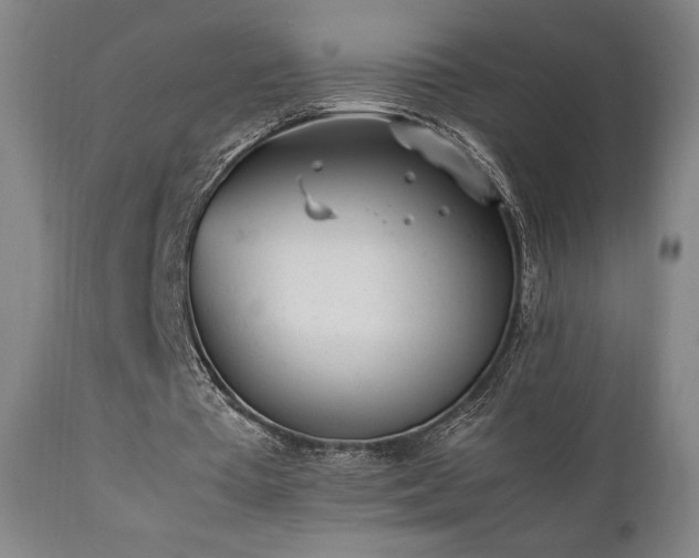 X0000112050385200908041156