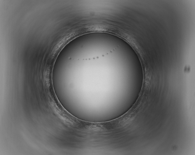 X0000112050386200908041156