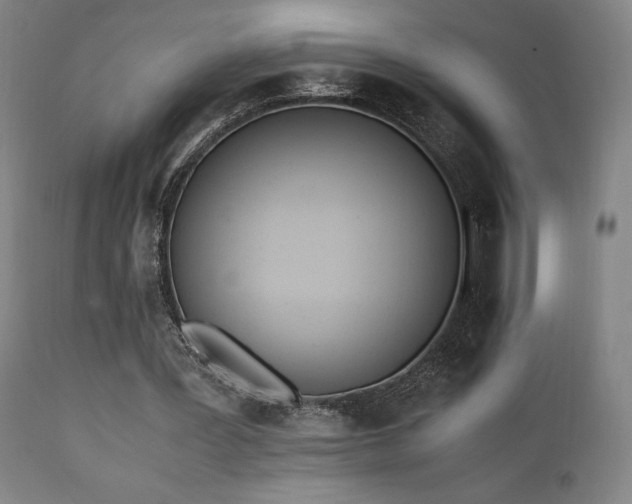 X0000112050387200908041156