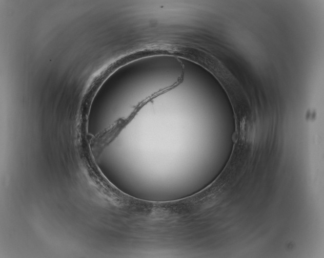 X0000112050388200908041156