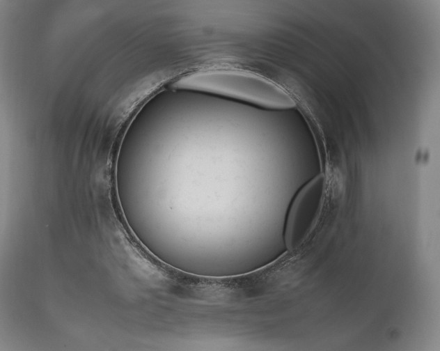 X0000112050389200908041156