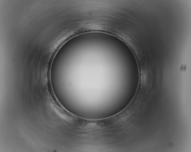 X0000112050390200908041156