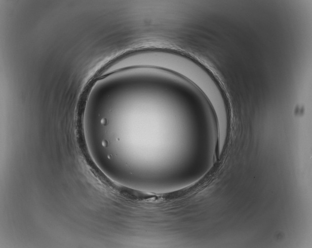 X0000112050391200908041156