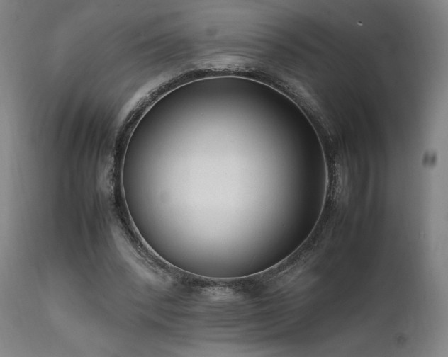 X0000112050392200908041156