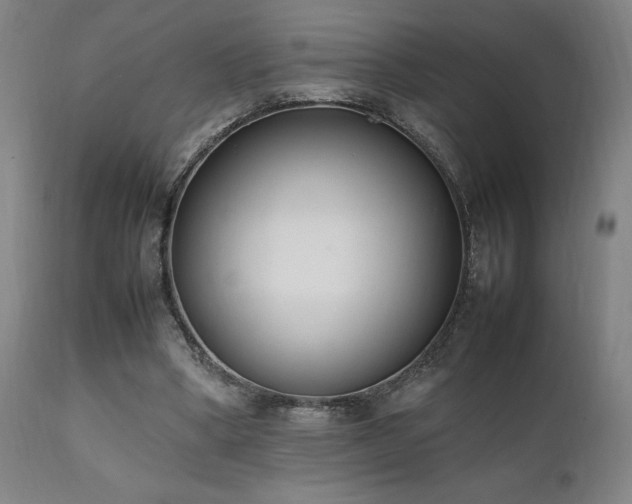 X0000112050394200908041156